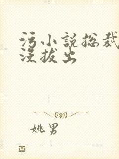 污小说总裁整夜没拔出