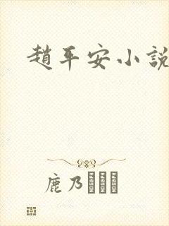 赵平安小说主角