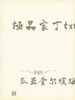 极品家丁txt
