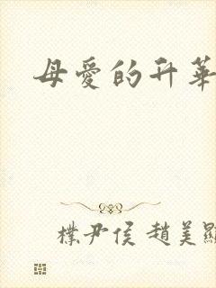 母爱的升华