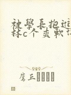 被学长抱进小树林c个爽软件