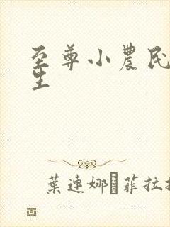 至尊小农民王木生