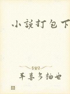 小说打包下载