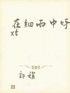 在细雨中呼喊txt