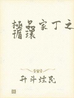 极品家丁之因果循环