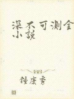 深不可测金银花小说