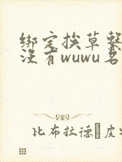 绑定挨草系统后没有wuwu名字