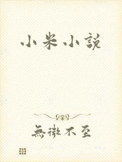 小米小说
