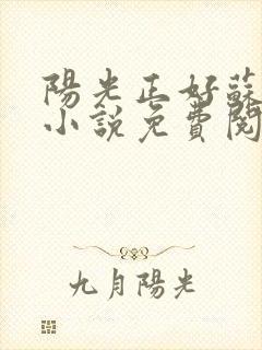 阳光正好苏玥玥小说免费阅读