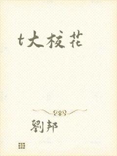 t大校花