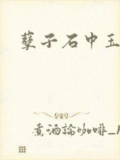 孽子石中玉