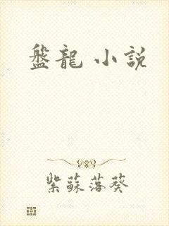 盘龙 小说