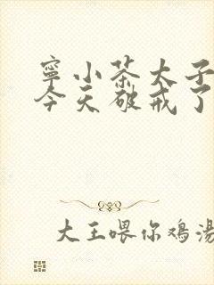 宁小茶太子殿下今天破戒了吗免费阅读