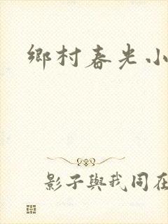乡村春光小说
