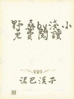 野桑by浅小说免费阅读