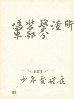 伪装学渣所有开车部分