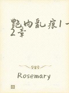 艳肉乱痕1一12章