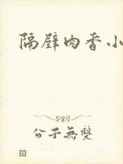 隔壁肉香小说