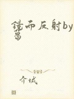 镜面反射by九葛