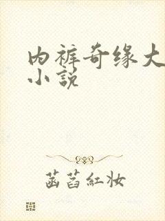 内裤奇缘大团结小说