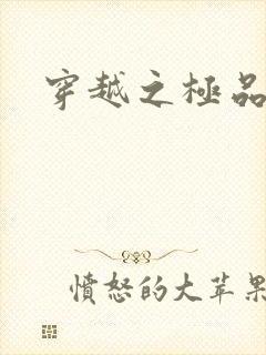 穿越之极品皇帝