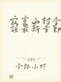 寂寞山村全部小说最新章节