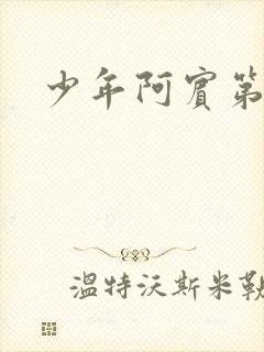 少年阿宾第二部