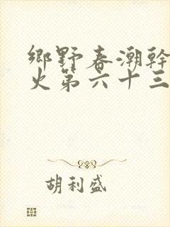 乡野春潮干柴烈火第六十三章