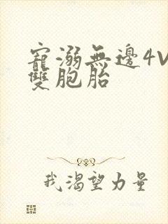 宠溺无边4V2双胞胎