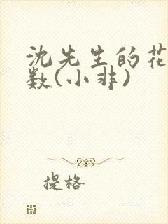 沈先生的花式调数(小非)