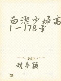 白洁少妇高义第1一178章