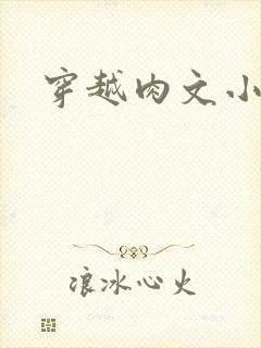 穿越肉文小说