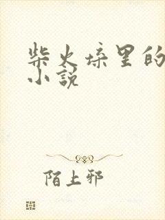 柴火垛里的疯狂小说