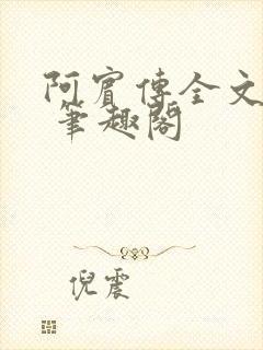 阿宾传全文阅读 笔趣阁
