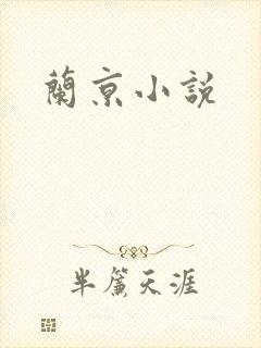 兰京小说