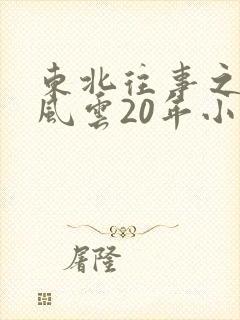 东北往事之黑道风云20年小说