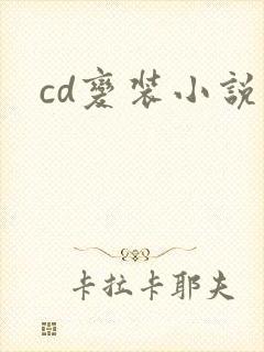 cd变装小说