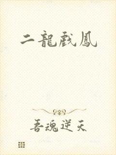 二龙戏凤