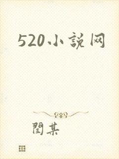 520小说网