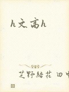 h文高h
