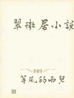 翠微居小说