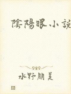 阴阳眼小说