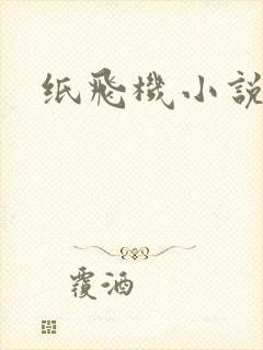 纸飞机小说