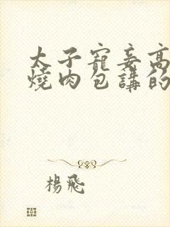 太子宠妾高肉红烧肉包讲的什么