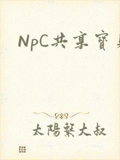 NpC共享宝贝