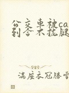 公交车被cao到合不拢腿视频