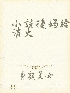 小说后妈给我消消火