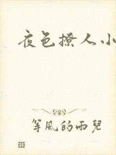 夜色撩人小说