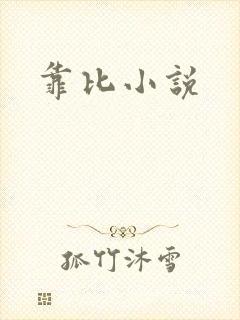 靠比小说