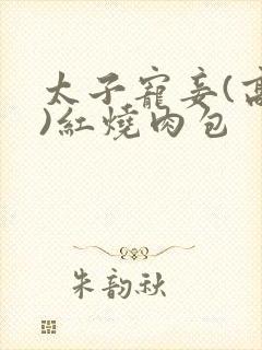 太子宠妾(高肉)红烧肉包